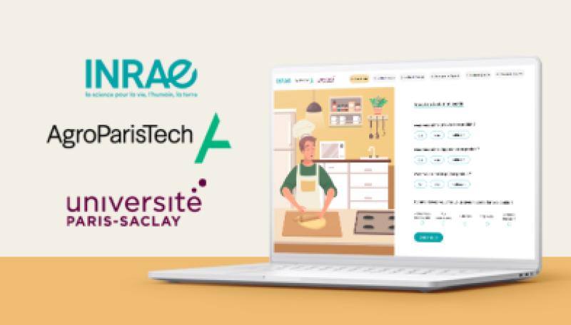 Visuel de rendre-des-enquetes-plus-ludiques-avec-la-gamification