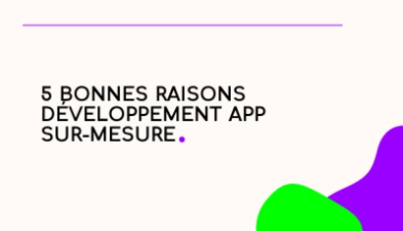 Visuel de pourquoi-avoir-un-outil-metier-sur-mesure